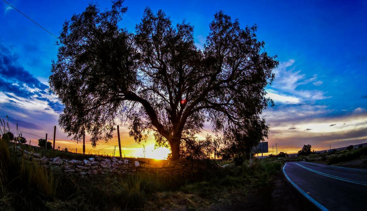 Sol Del Desierto Villa Chiuchiu Bagian luar foto