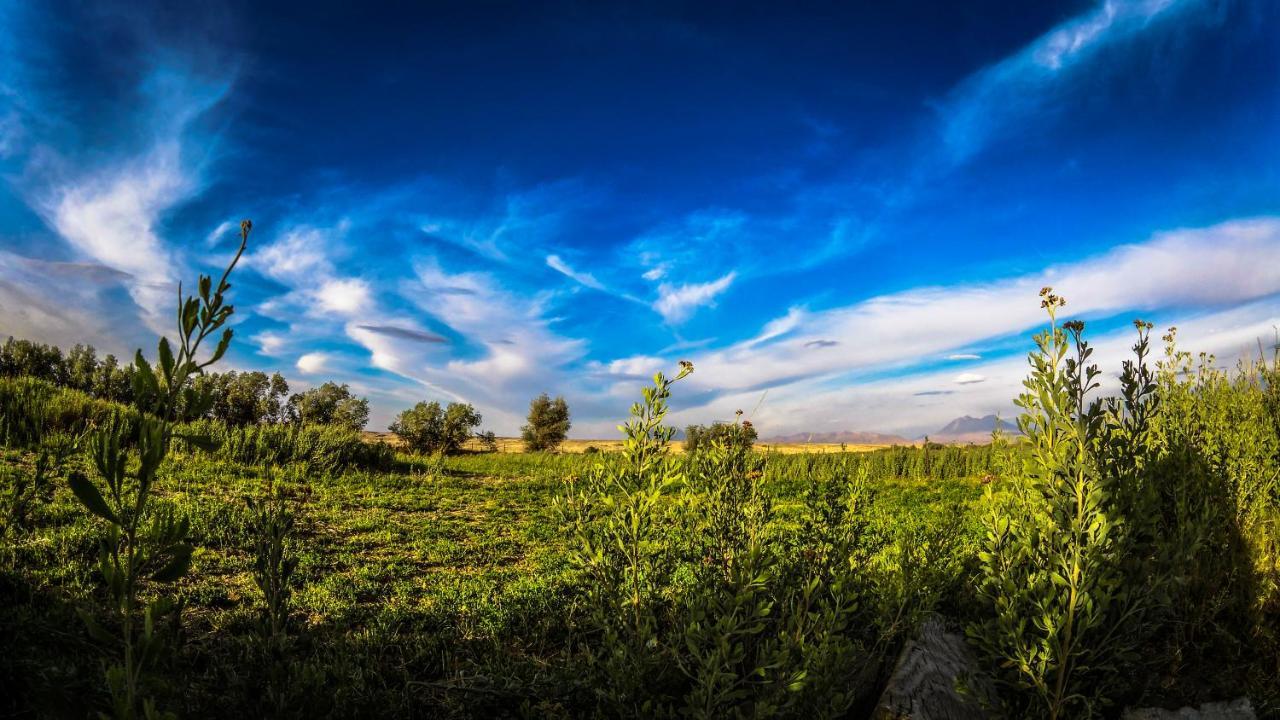 Sol Del Desierto Villa Chiuchiu Bagian luar foto