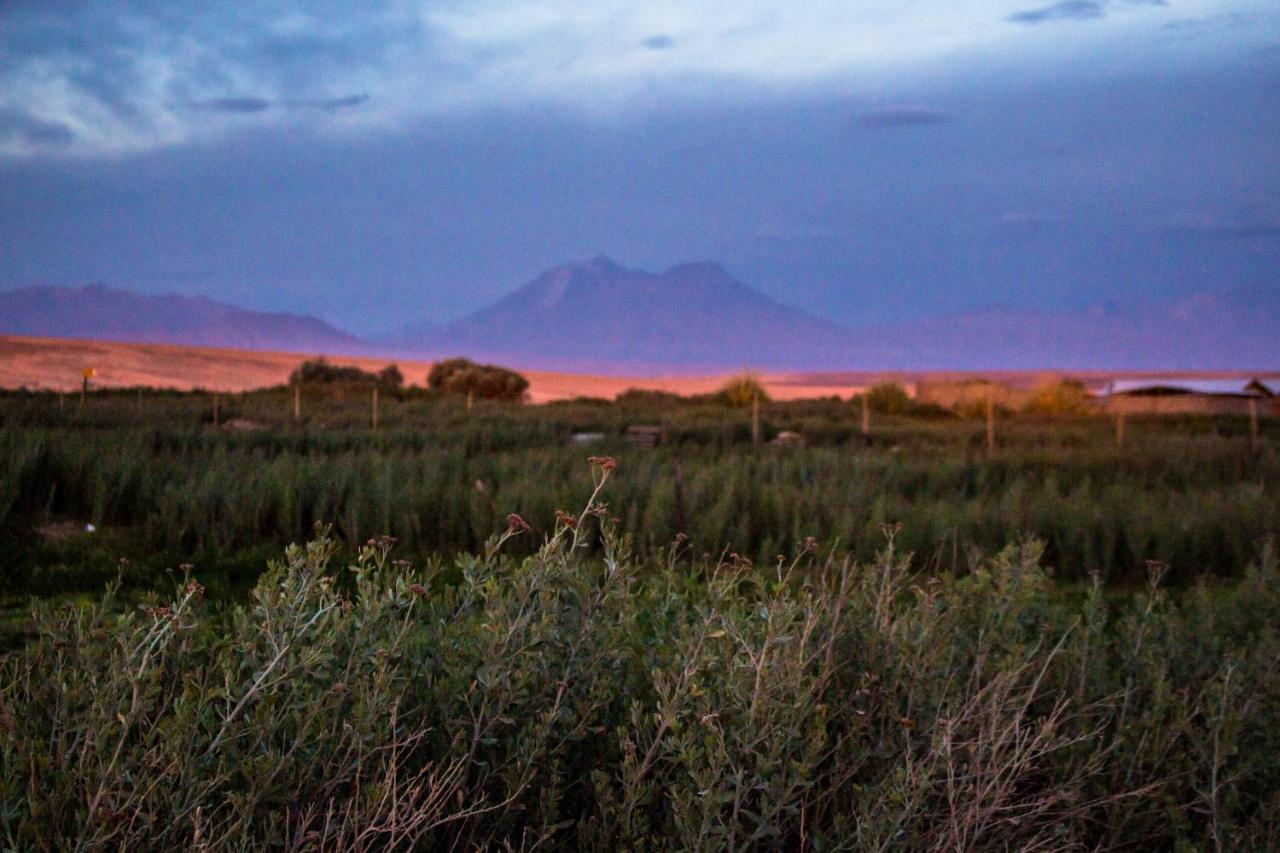 Sol Del Desierto Villa Chiuchiu Bagian luar foto